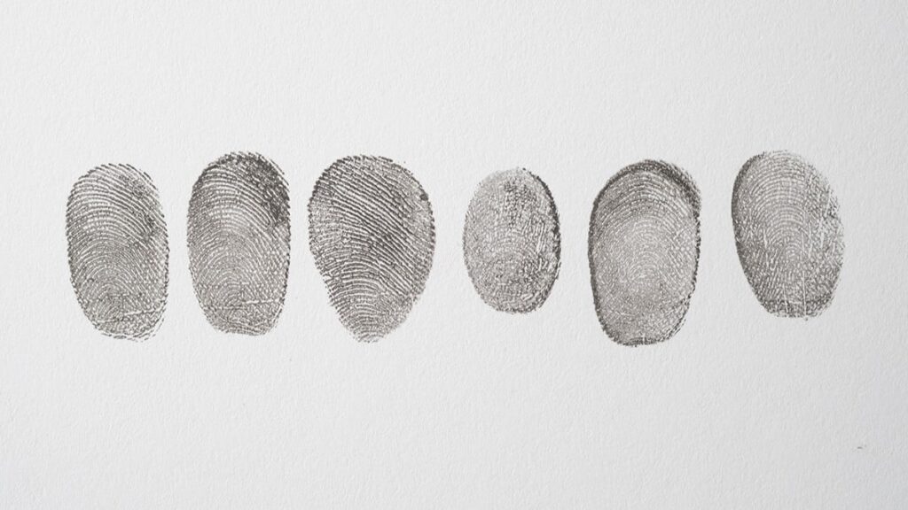 Fingerprint records
