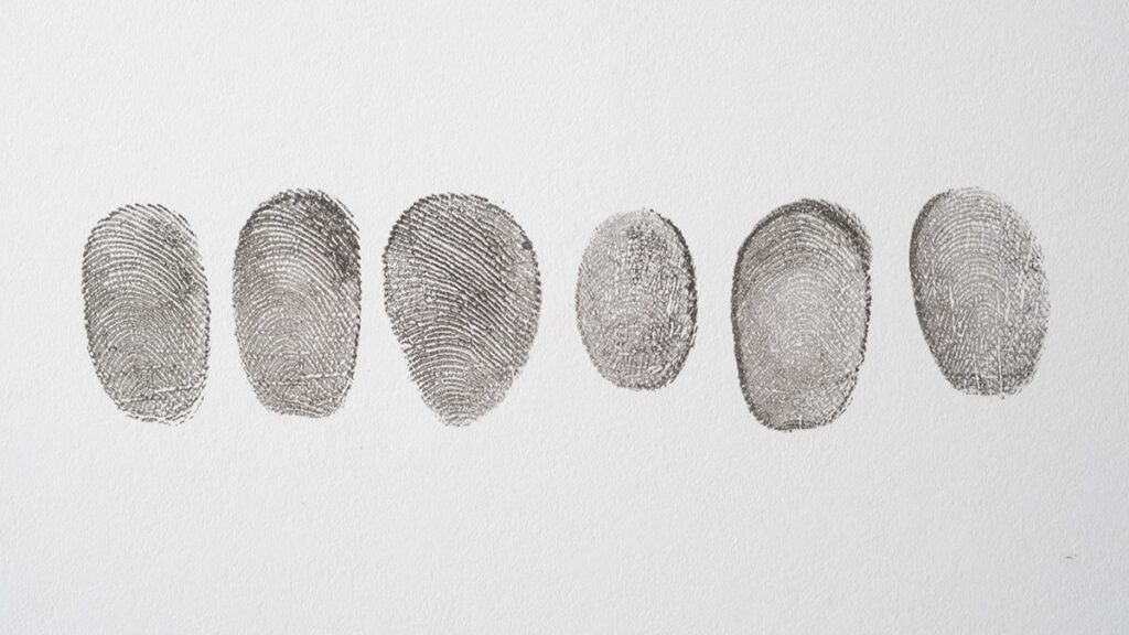 Fingerprint records