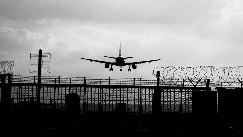 What crimes will get you deported?